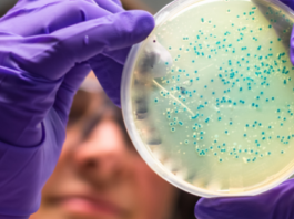 Dos científicas argentinas llevan la detección del cáncer del laboratorio a la empresa