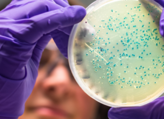 Dos científicas argentinas llevan la detección del cáncer del laboratorio a la empresa