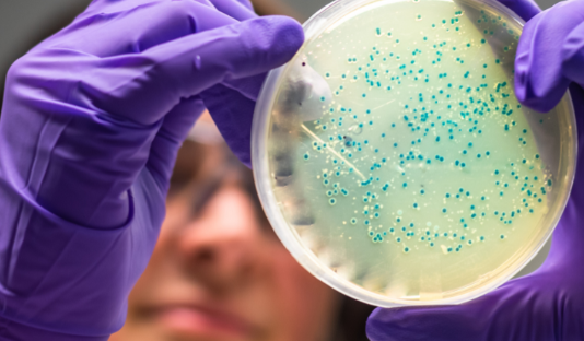 Dos científicas argentinas llevan la detección del cáncer del laboratorio a la empresa