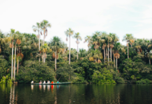 Ana Luisa Ríos escribe la Amazonía desde la memoria de quienes la habitan