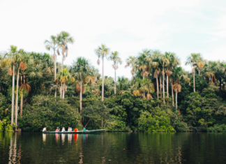 Ana Luisa Ríos escribe la Amazonía desde la memoria de quienes la habitan