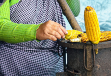 Mujeres indígenas fortalecen el patrimonio alimentario