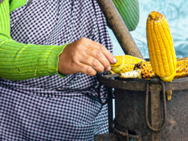 Mujeres indígenas fortalecen el patrimonio alimentario