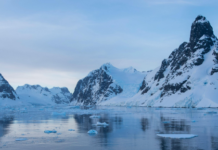 Eloísa Arrarte lleva una bacteria antártica a la industria de la higiene