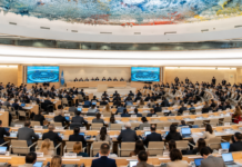 Seis países latinoamericanos cuestionan conceptos de género ante la ONU