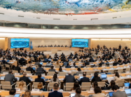 Seis países latinoamericanos cuestionan conceptos de género ante la ONU