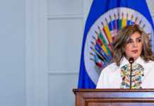 Laura Gil en la OEA “No me arrepiento de haber criticado”