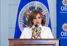 Laura Gil en la OEA “No me arrepiento de haber criticado”