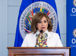 Laura Gil en la OEA “No me arrepiento de haber criticado”