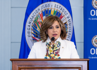 Laura Gil en la OEA “No me arrepiento de haber criticado”