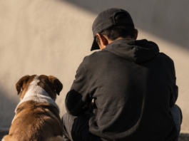 La violencia convertida en identidad