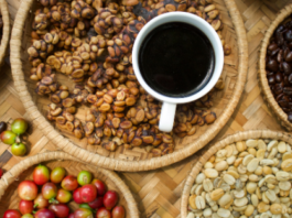 Las hondureñas están cambiando el negocio del café