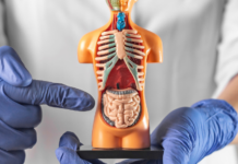 Más allá de la colonoscopia, opciones para detectar el cáncer colorrectal